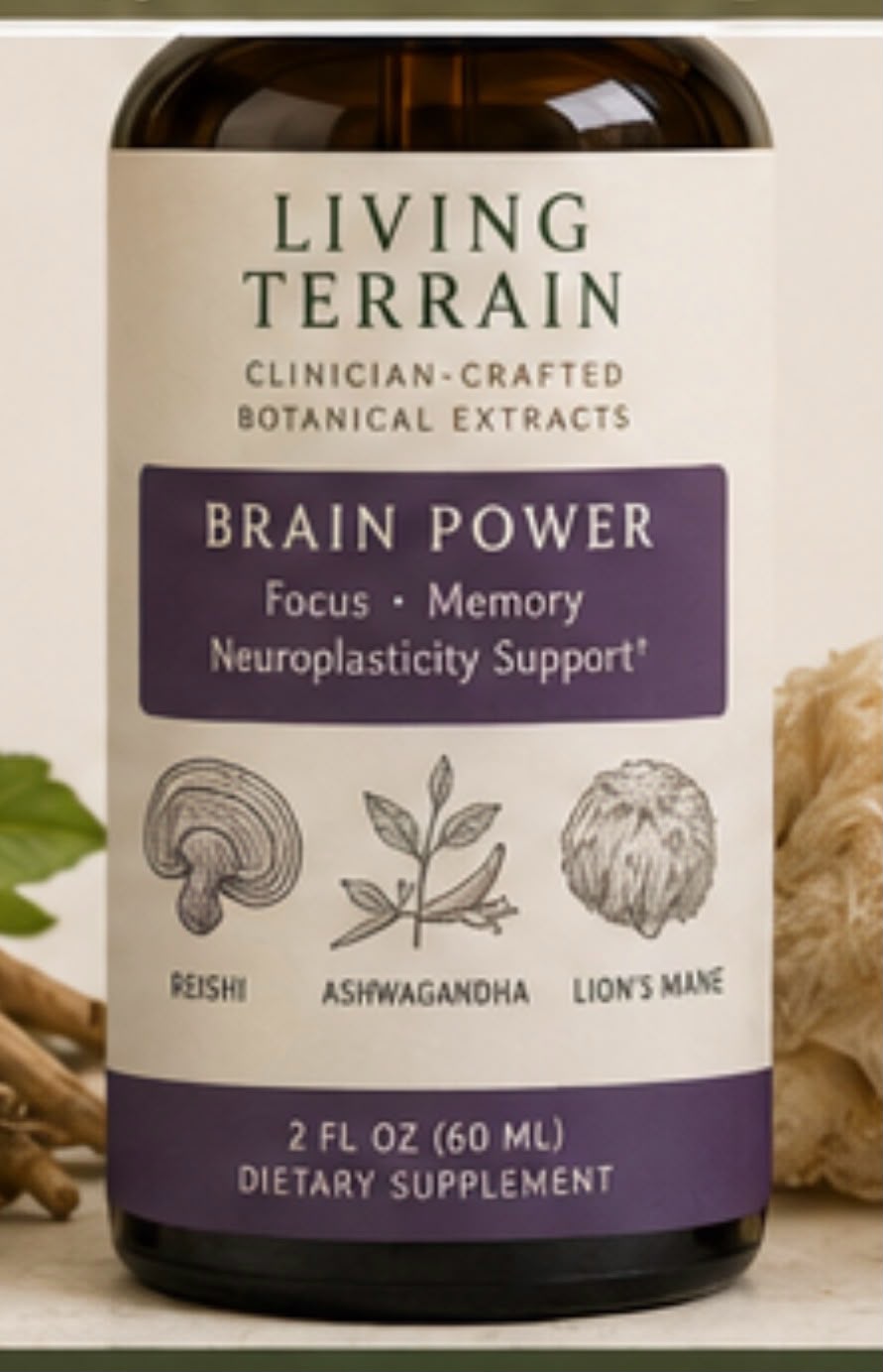 Brain Power extract in a dropper bottle with a plum label